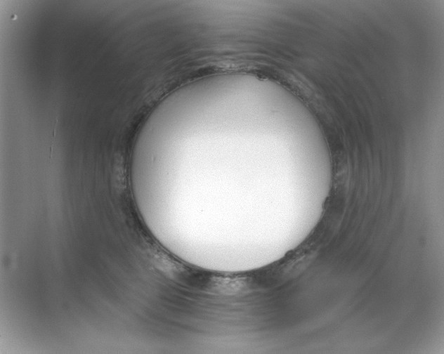 X0000068730469200605192324