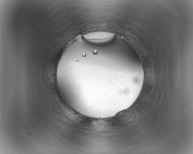 X0000068730470200605192324