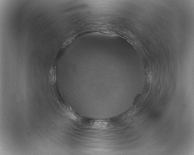 X0000068730471200605192324