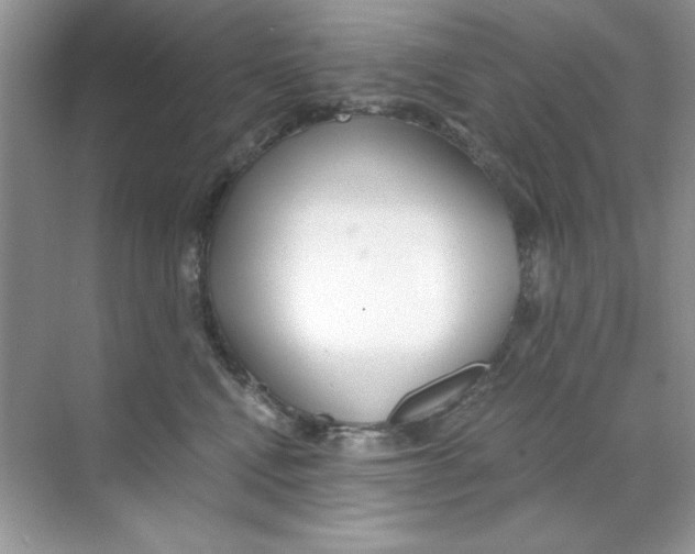 X0000068730472200605192324