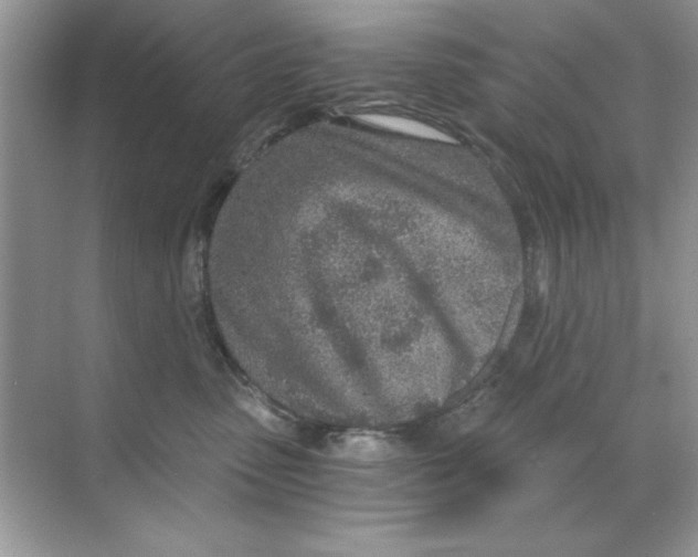 X0000068730475200605192324