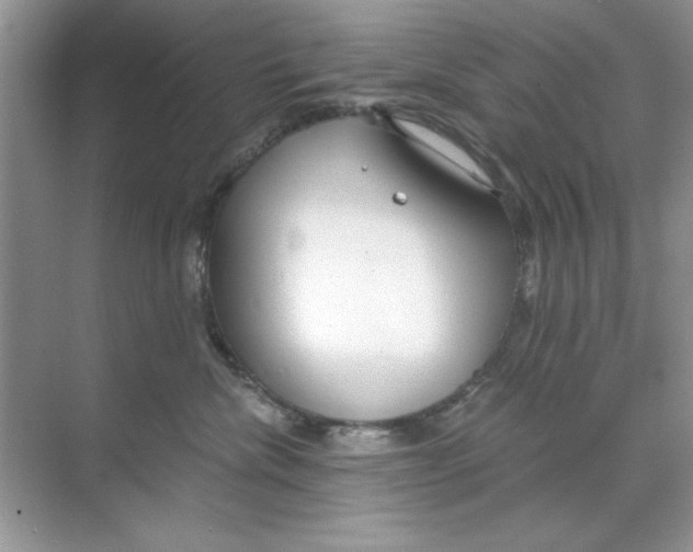 X0000068730476200605192324