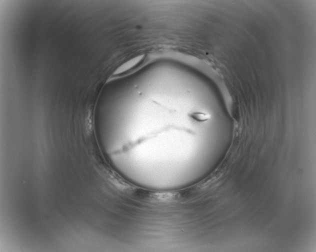 X0000068730479200605192324