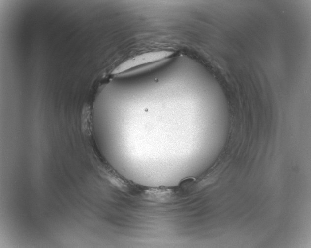 X0000068730480200605192324