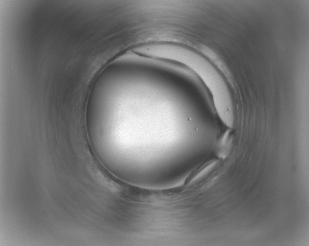 X0000068730481200605192323