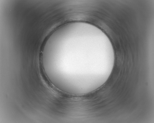 X0000068730482200605192323