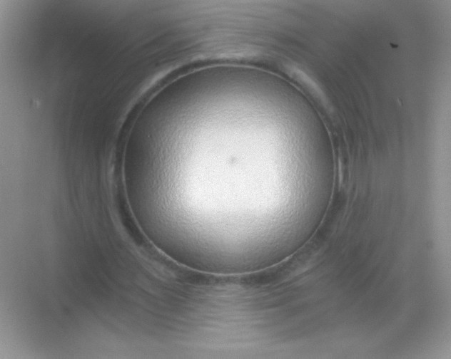 X0000068730483200605192323