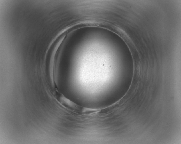 X0000068730484200605192323