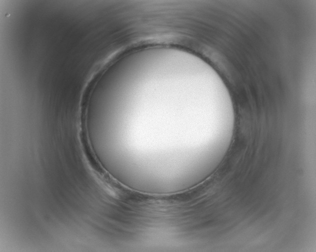 X0000068730486200605192323