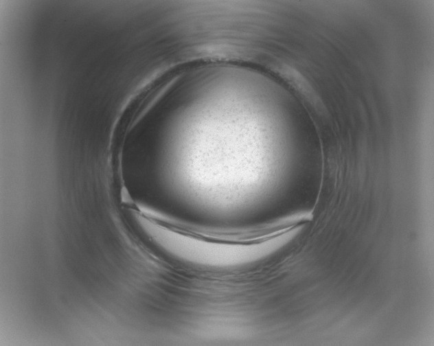 X0000068730488200605192323