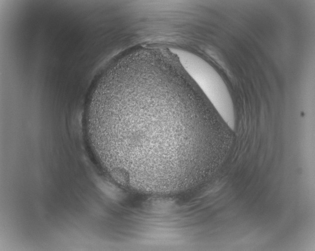 X0000068730491200605192323