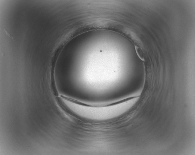 X0000068730493200605192323