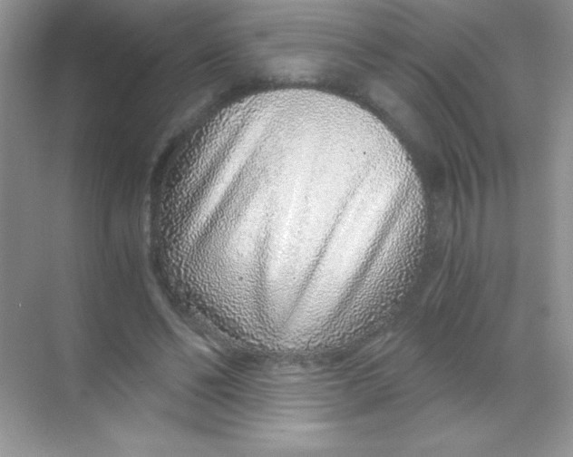 X0000068730494200605192323