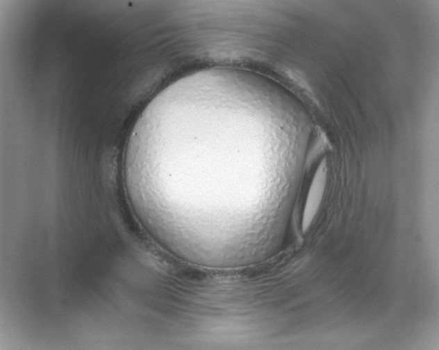 X0000068730495200605192323