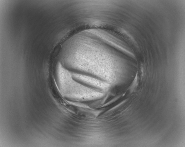 X0000068730496200605192323