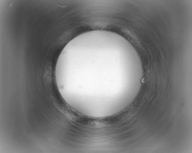 X0000068730498200605192323