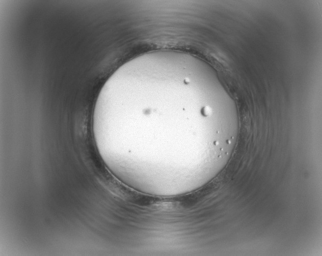 X0000068730499200605192323