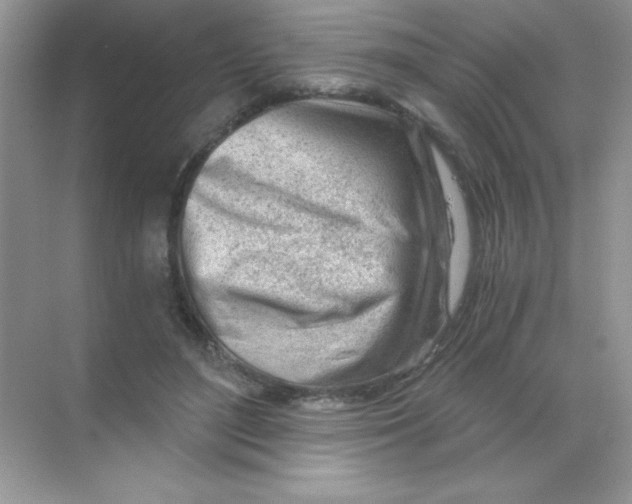 X0000068730500200605192323