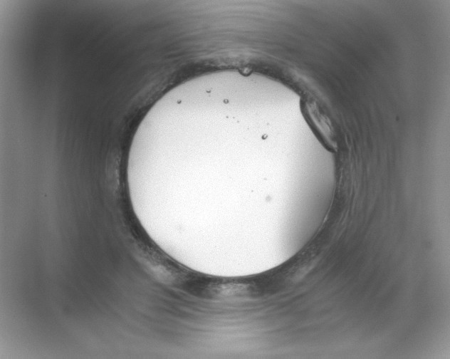 X0000068730501200605192323