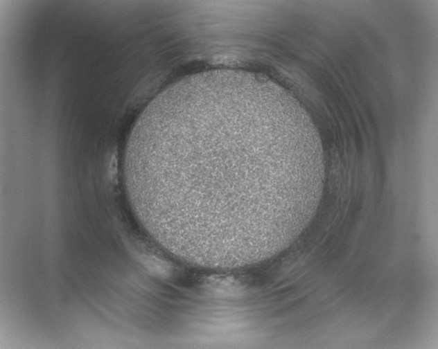 X0000068730502200605192323