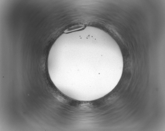 X0000068730505200605192323