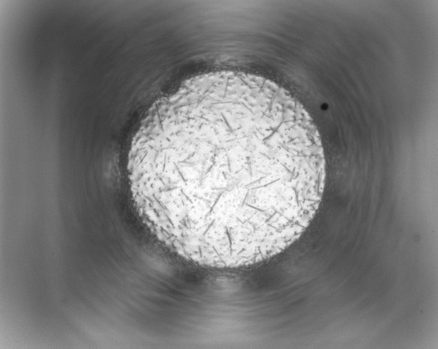 X0000068730506200605192323