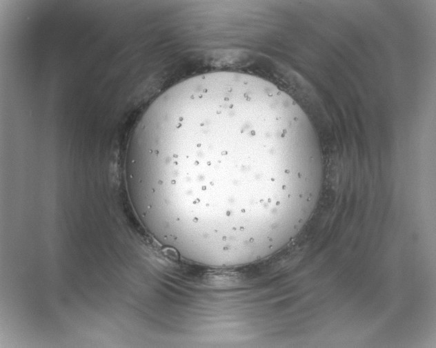 X0000068730510200605192323