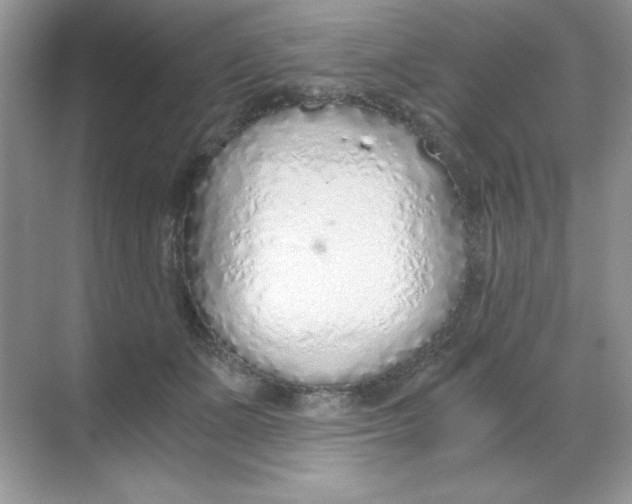 X0000068730511200605192322