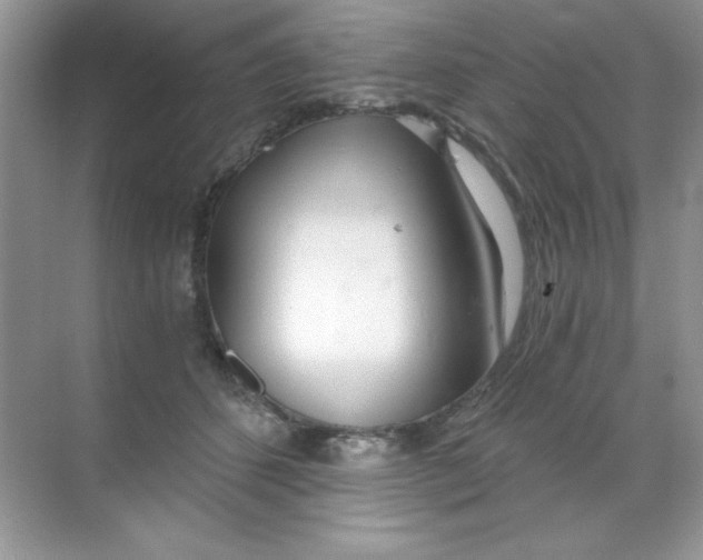 X0000068730512200605192322