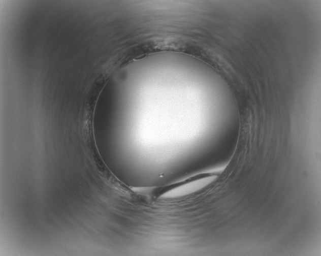 X0000068730513200605192322