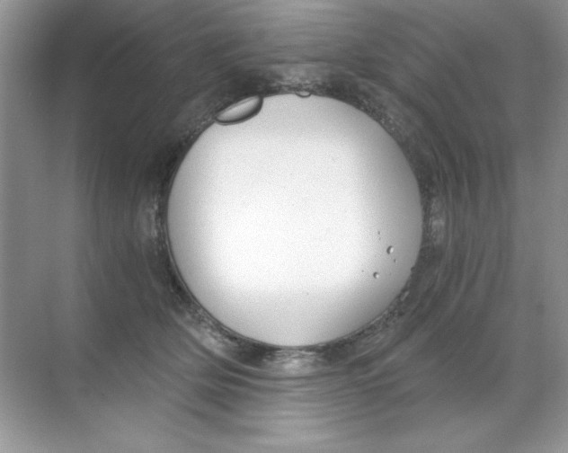 X0000068730514200605192322