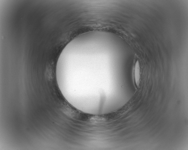 X0000068730515200605192322