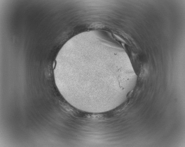 X0000068730517200605192322