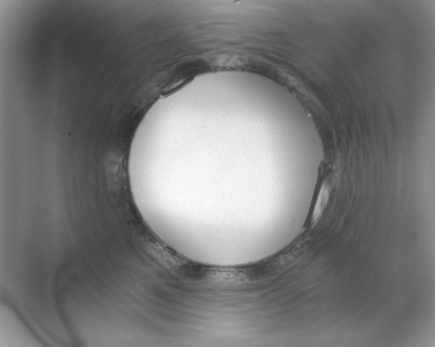 X0000068730521200605192322