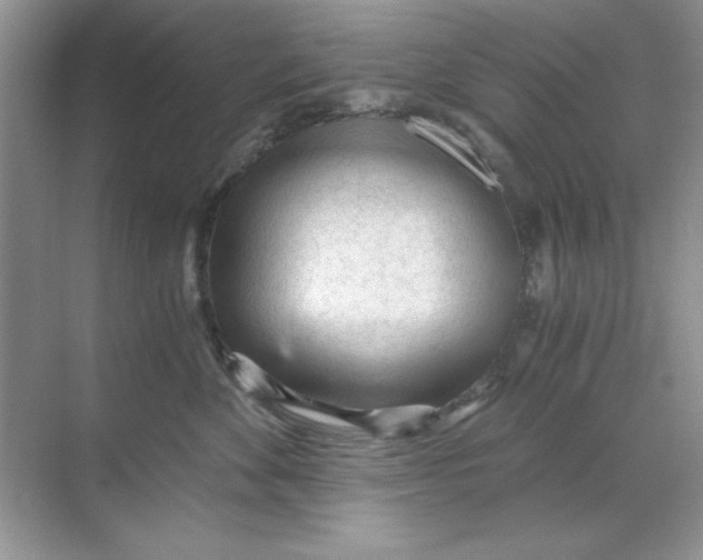 X0000068730524200605192322