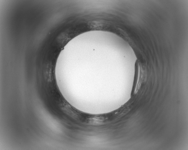 X0000068730525200605192322