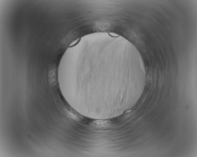 X0000068730526200605192322