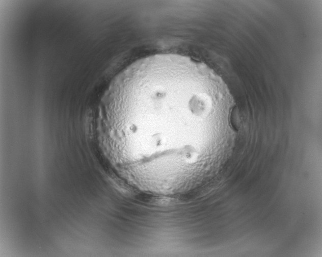 X0000068730527200605192322