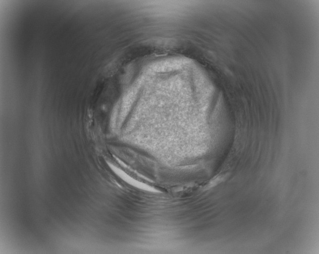 X0000068730528200605192322