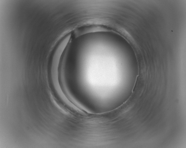 X0000068730530200605192321