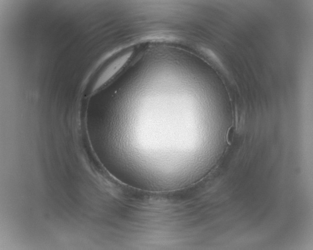 X0000068730531200605192321