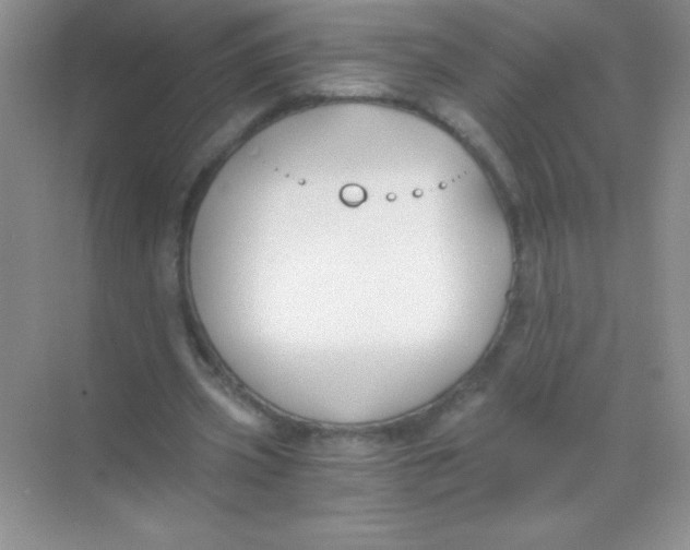 X0000068730533200605192321