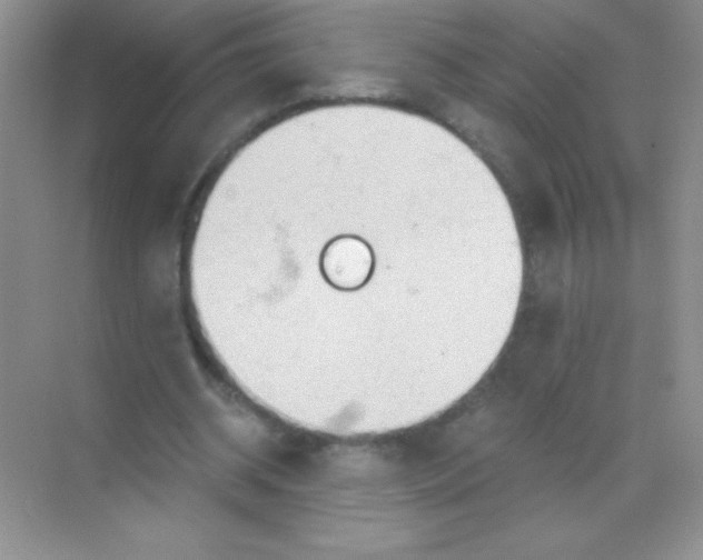 X0000068730534200605192321