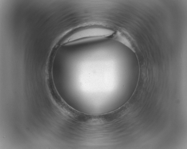 X0000068730536200605192322