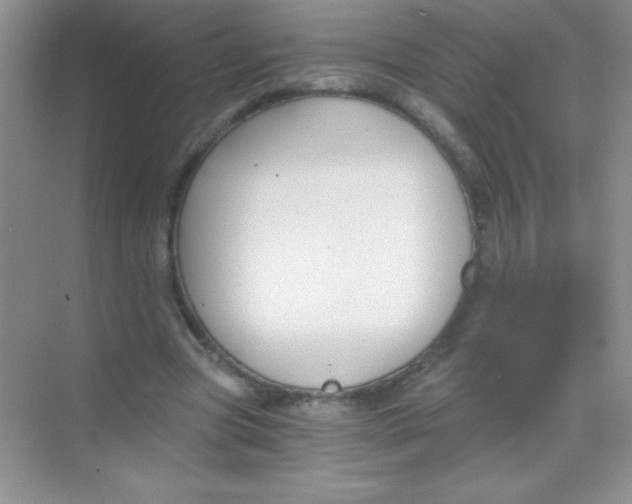 X0000068730537200605192322