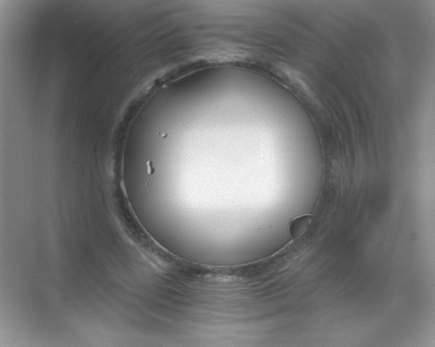 X0000068730539200605192322