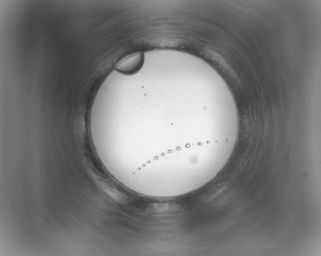 X0000068730541200605192322