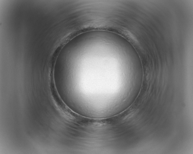 X0000068730542200605192322