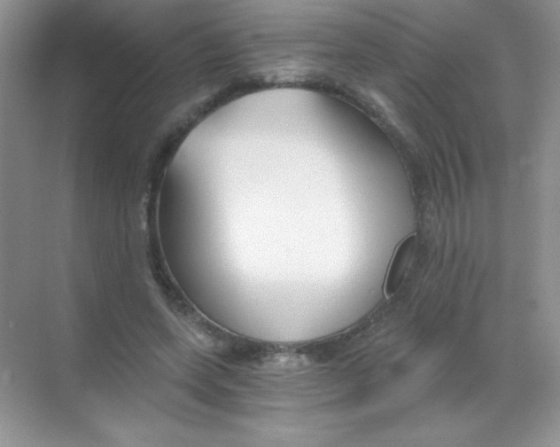 X0000068730543200605192322