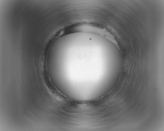 X0000068730544200605192322